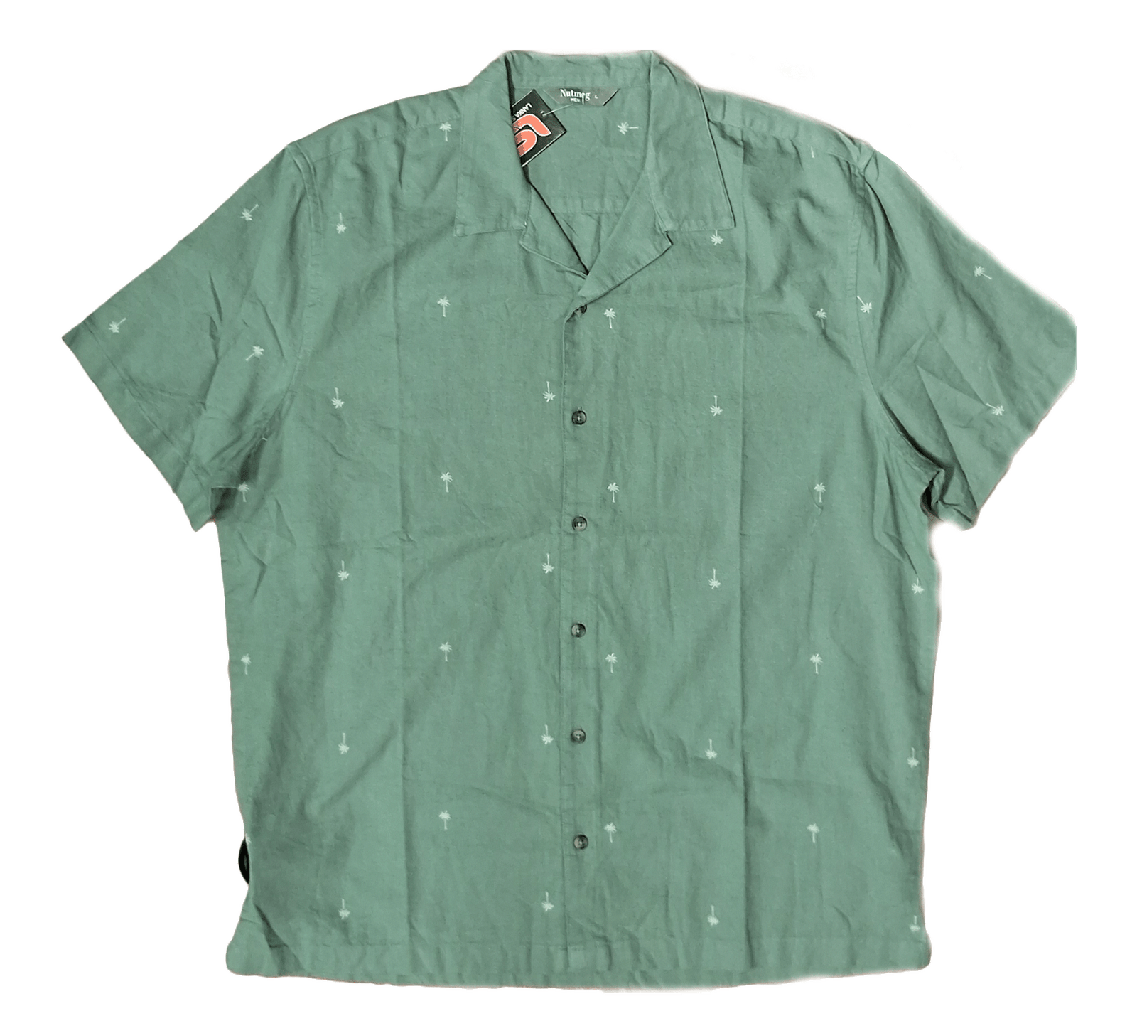 Plain Shirt Nutmeg G301
